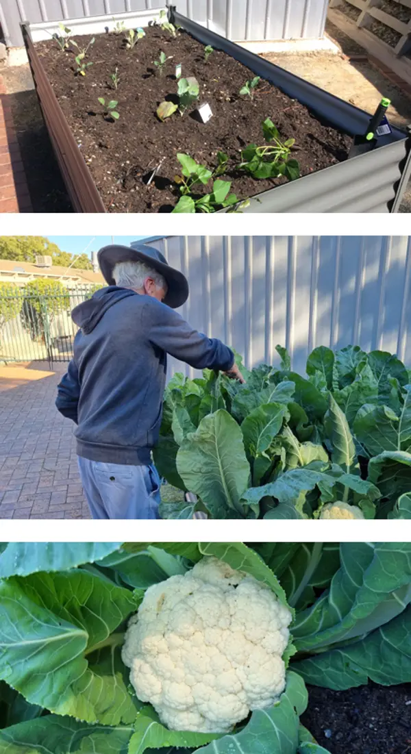 Gardening group success