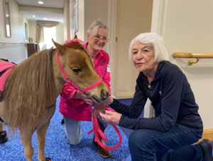 Kensington Gardens Animal Therapy.png