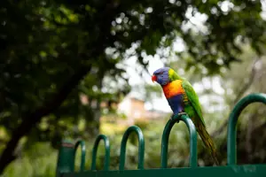 Estia Health Wyoming_20_08-25_IMG_0038-Gallery-1016x677.jpg