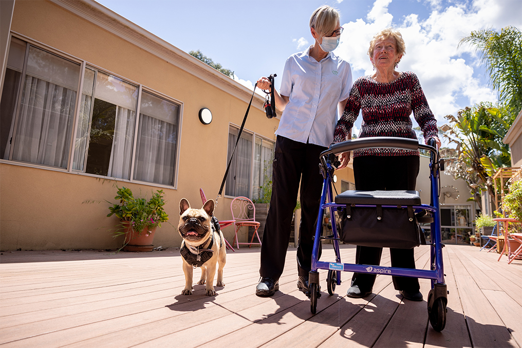 What is convalescent care?