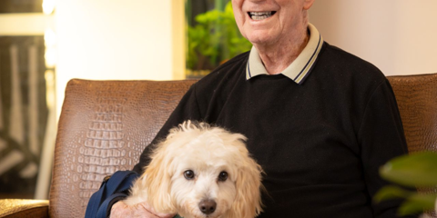 Animal Therapy (11).png