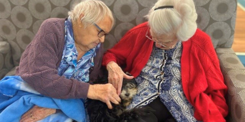 Animal Therapy (2) Landscape.png