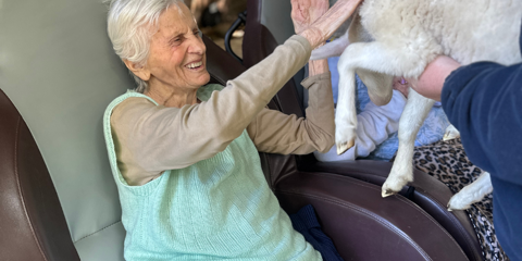 Animal Therapy (2).png