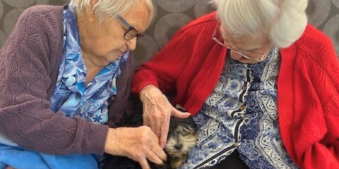 Animal Therapy (5).png