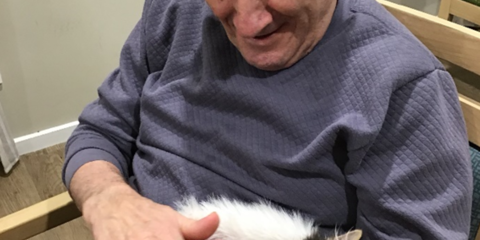 Animal Therapy (6).png