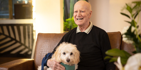 Animal Therapy (6)Landscape.png