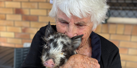 Animal Therapy2 (2) Landscape.png