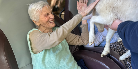 Animal Therapy2 landscape.png