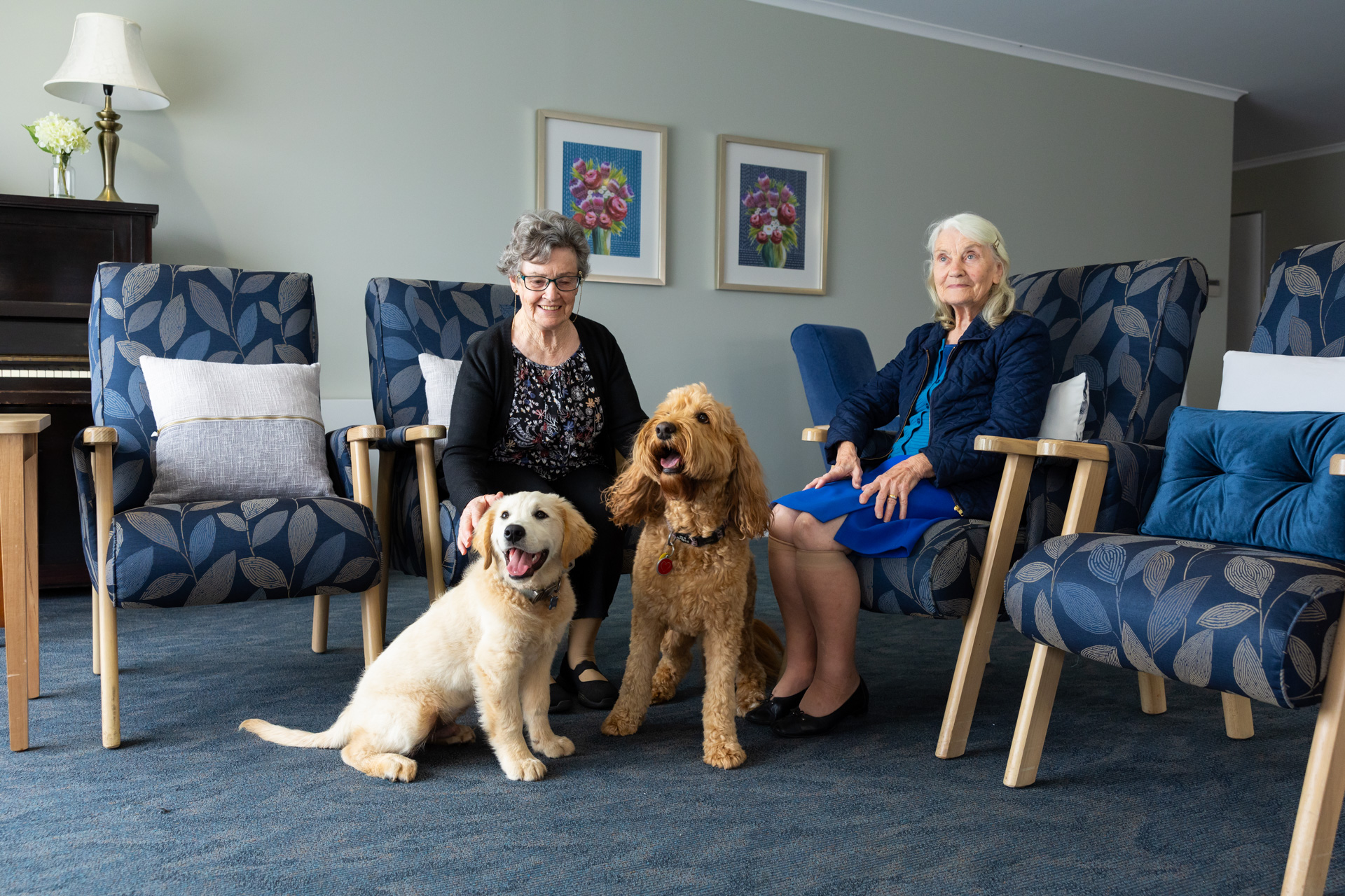 The magic of animals in aged care